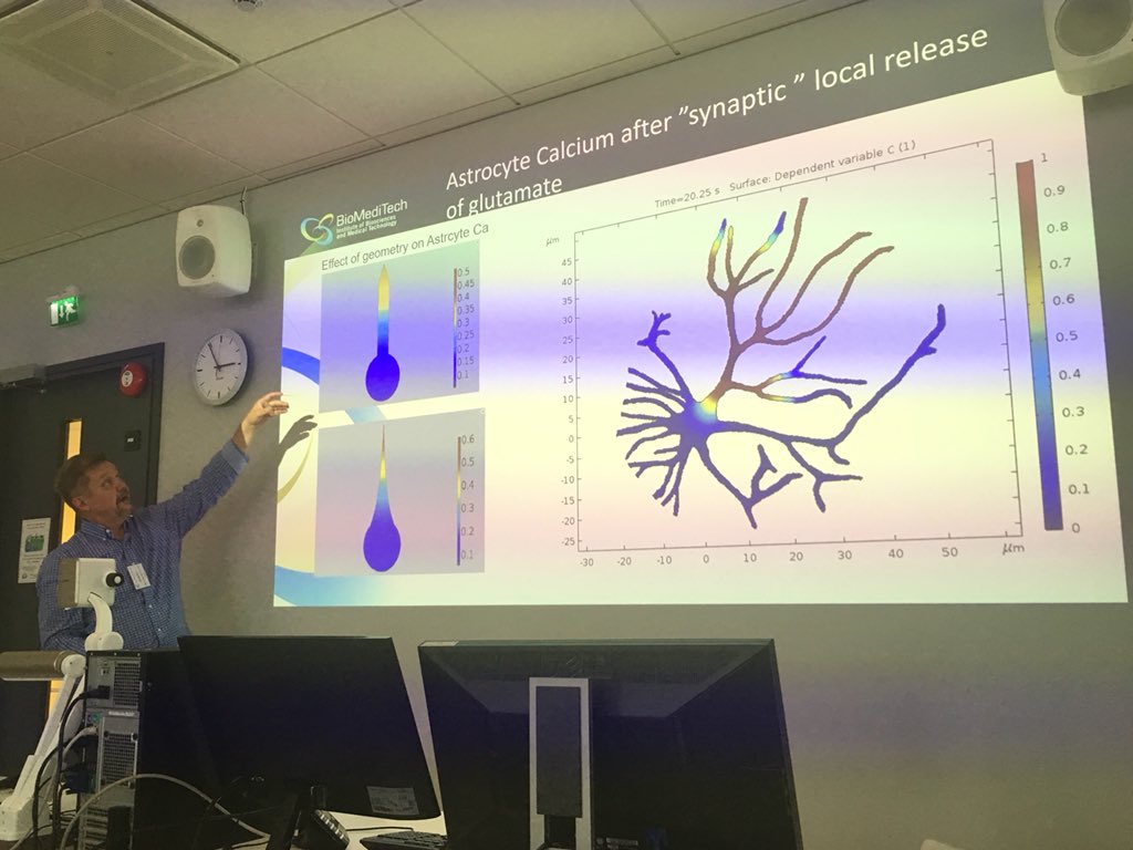 JeromeNoailly's tweet photo. @JariAKHyttinen from #BioMediTech Institute, Tampere, talks about how modelling can bring wet labs closer to Clinics. Nordic-Baltic @VPH_Institute Workshop https://t.co/UY06vNGBmg! #cardiomiocytes #synapses #astrocytes #neurones https://t.co/zFserklDlZ
