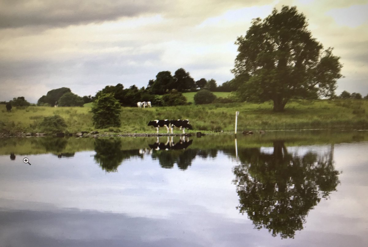 Lovely afternoon on beautiful Cleenish Island <a href="/fermanaghlakes/">Fermanagh Lakelands</a> <a href="/DiscoverNI/">Northern Ireland</a> <a href="/fermanaghomagh/">Fermanagh & Omagh District Council</a>