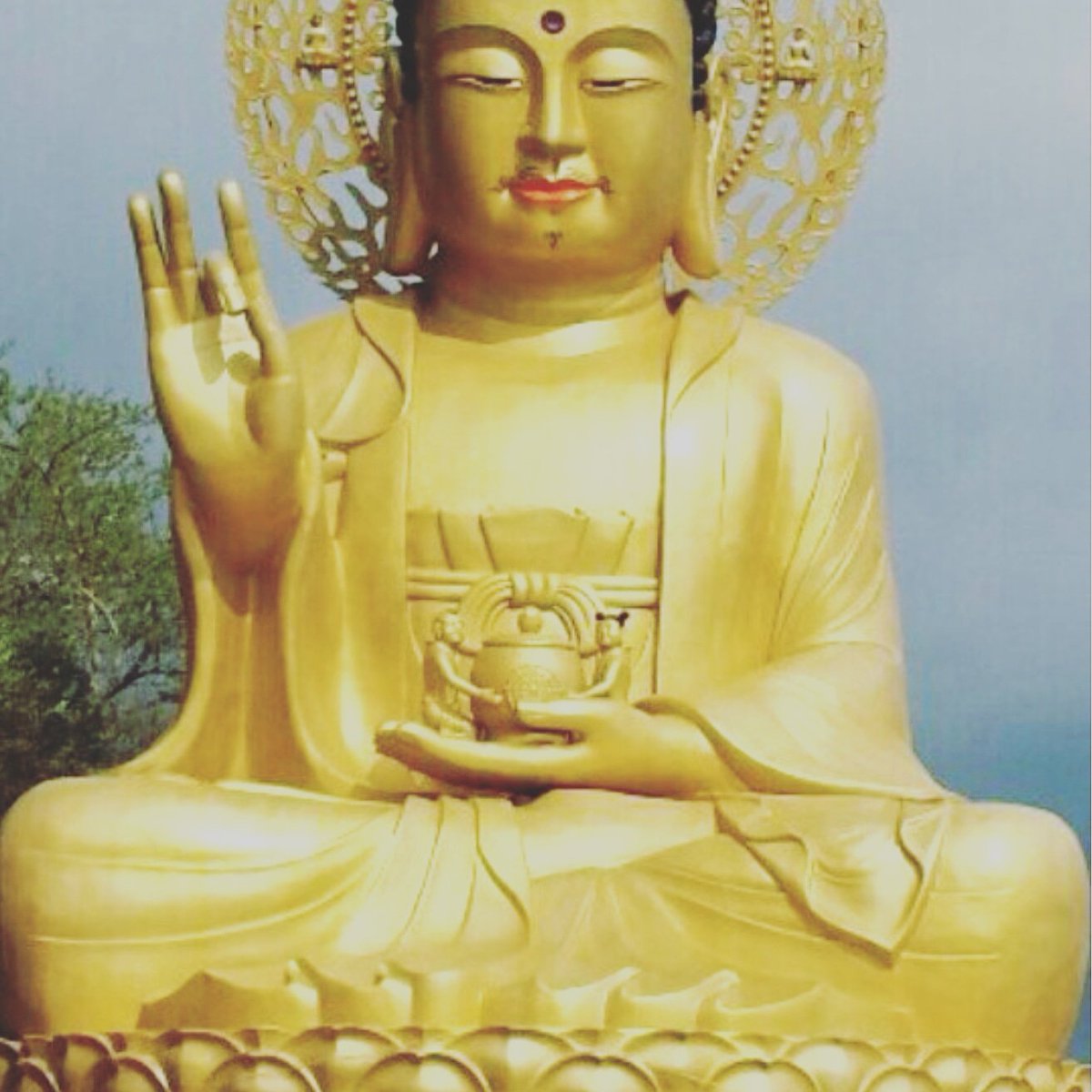 Linda Curry Willans (@willans_linda) on Twitter photo 