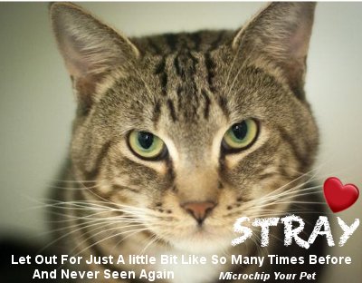 MIPooh's tweet photo. Don't Let Your #Pets Become "Stray" Statistics
For Very Little Cost
Help Your Best Friend Increase Their Chances of Coming Home If Ever Lost https://t.co/HP1dLEy7Wd