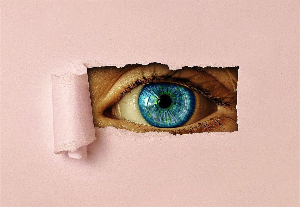 mirame_net's tweet photo. ¿Sabías que implantar un sistema de #videovigilancia en un entorno minorista genera mayor fidelidad en los clientes? https://t.co/rH9zCabJ3Q
#Curiosidades #Retail #NegociosRentables https://t.co/smgqBZ3nyD