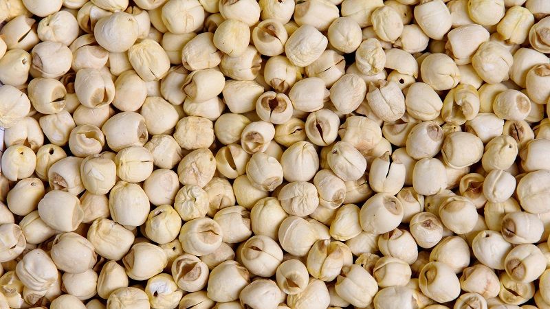 TheWorkPerk's tweet photo. Move over #popcorn, there’s a new puffed bite in town! Say hello to #LotusSeeds - "Lotus seeds certainly aren’t an overnight gimmick looking to muscle in on popcorn’s party" https://t.co/NKDQ3JDxlc
#FDIN #TheWorkPerk #Snacking #Vegan #GlutenFree https://t.co/O6IX0ptRWM