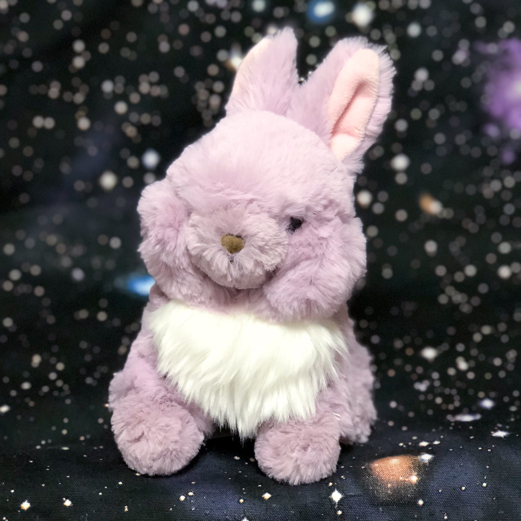 うさぎのぬいぐるみわーるど サンレモン社のラピヌシリーズの うさぎさん ライラック ふわふわした毛並みと 撫で心地がとても優しいうさぎさん お仲間が7種いるんですよ ぬいぐるみ うさぎ うさぎのぬいぐるみ ウサギ ぬいどり ぬい撮り