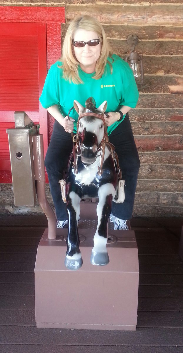 rfrancois29's tweet photo. Those days in Texas when it's too hot to ride my real horses... https://t.co/c3aOZ9WTZX