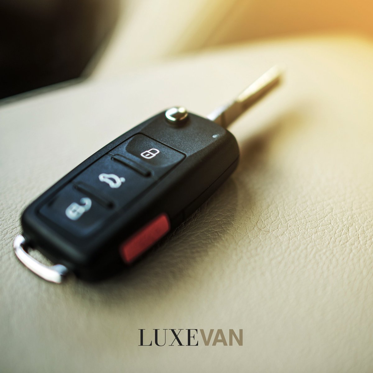 InfoLuxevan's tweet photo. ¿Conoces nuestro servicio de entrega en domicilio?🔑 🚐
Te facilitamos la recogida y entrega de tu furgoneta #Luxevan
¡ Consúltanos para conocer más detalles ! 😉 https://t.co/drig337Coa