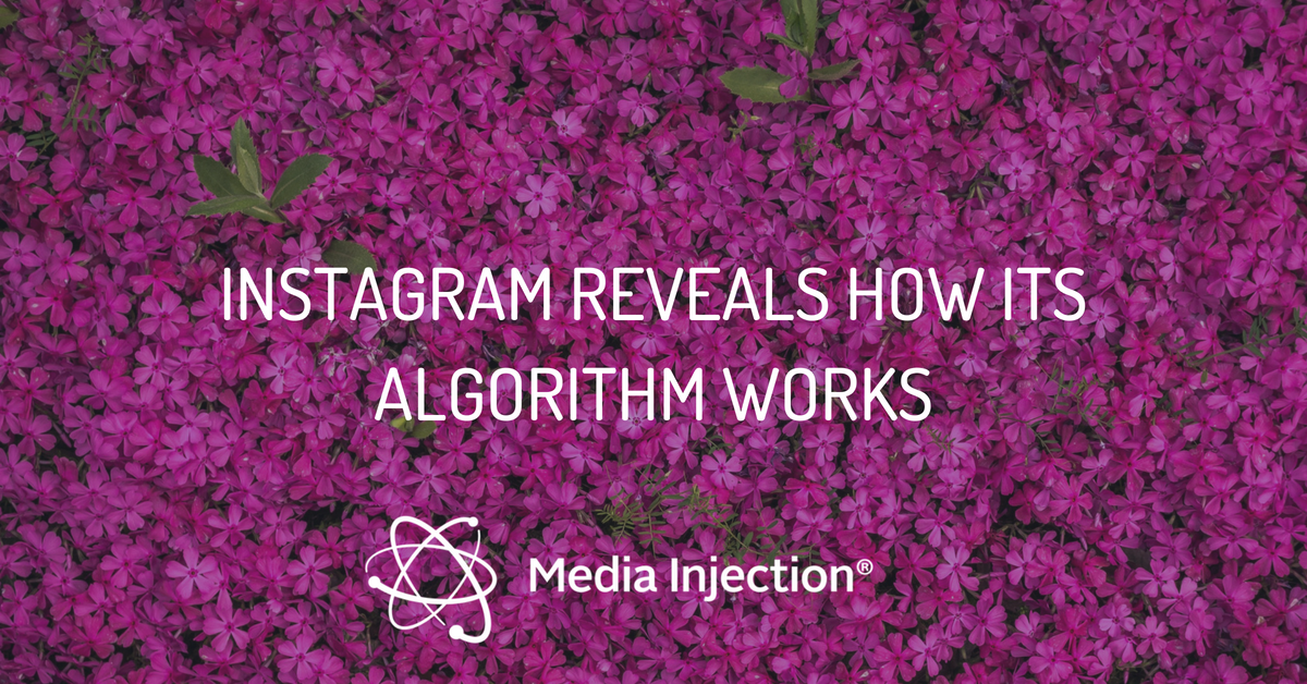 Instagram has finally explained how its algorithm-driven Feed works! Read our blog for a full, detailed explanation! mi8.ly/pa8bnj