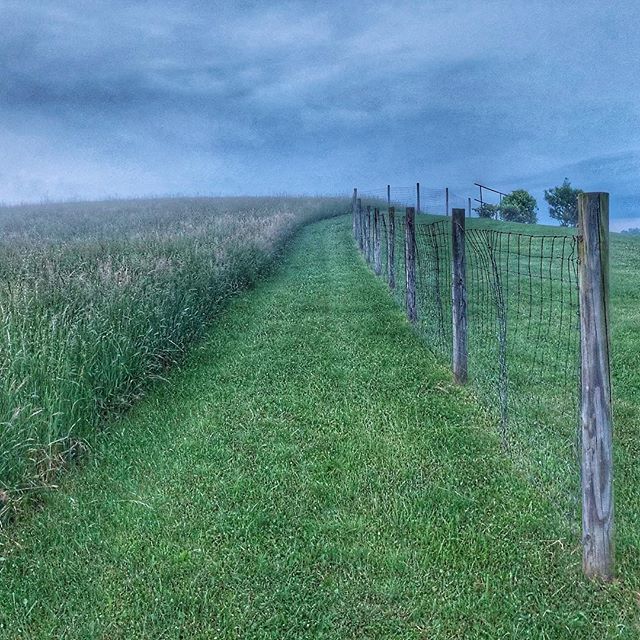 MissDudykins's tweet image. By the Orchard Grass. #pin #springinappalachia #springinwv #wondergrams #upshurcounty #rockcave #rockcavewv #farmliving #farmlivin #mywv #wvphotography #walnutcove #appalachia #westvirginia ift.tt/2Jujbld