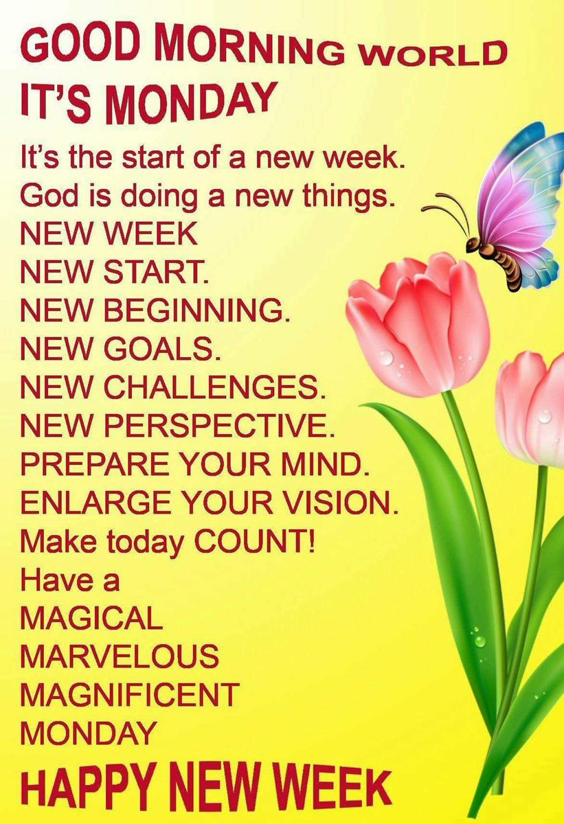 Good morning happy week. In monday morning and while you are. Good morning monday. Happy monday. Good morning happy monday.