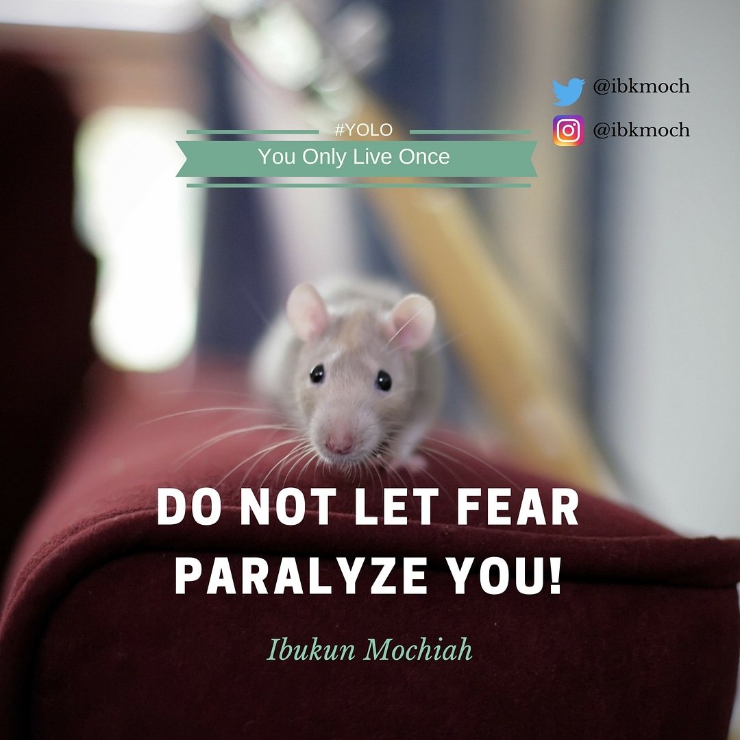 ibkmoch's tweet photo. Fear paralyzes! Fear comes in various forms. You need to recognize what your fears are, and overcome them. If you don't, you become immobile to do anything. 
#yolo #PurposeDrivenLife #Motivation #mondaymotivation #monday #goodday #overcome #fear #ibukunmochiah https://t.co/bSUrvjvnIS