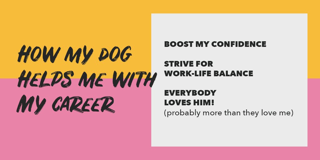 shesaysuk's tweet photo. The first interview of our #CreativeBitches series is up! Meet Mikaela Rice, a freelance creative currently at @sapientrasorfish & her dog Woody. Head to our Linkedin page for the full interview>https://t.co/asjOBRmSo3 #officedog #agencydog #female #advertising #creative #career https://t.co/uDsnpbJyoq