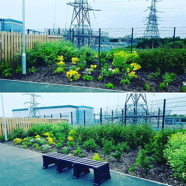 thameslifecdt's tweet photo. After all the hard work - the 'After is such a big improvement... Thanks to #YoungCitizensActionGroup courtesy of @waywardplants @barking_riverside @thameswardcp #GreenUpThamesWard #YCAG #ThamesWardCommunityProject https://t.co/MFg8ZlYS41