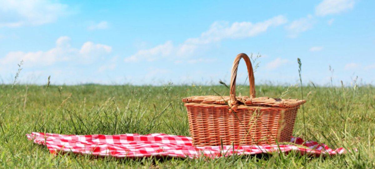 BramaleaD's tweet photo. Wednesday is our annual IMPROV PICNIC IN THE COURTYARD!!!  Bring a blanket and snacks to share.  

Fingers crossed that the rain stays away... https://t.co/PG3zY8ui9E