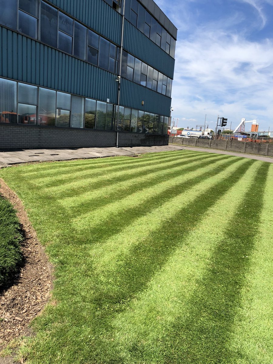 kyleleslie96's tweet photo. A nice day to stripe and edge some lawns ☀️ https://t.co/EwAT9rWra4