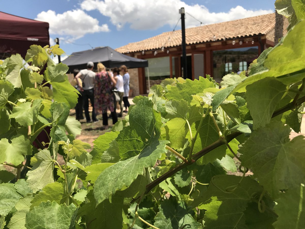 MasLlagostera's tweet photo. Avui expliquem el projecte de sostenibilitat de #MasLlagostera amb vins de @janeventura1914 a un grup de periodistes nòrdics especialitzats en turisme i gastronomia via @catexperience https://t.co/v3qQJpUw38
