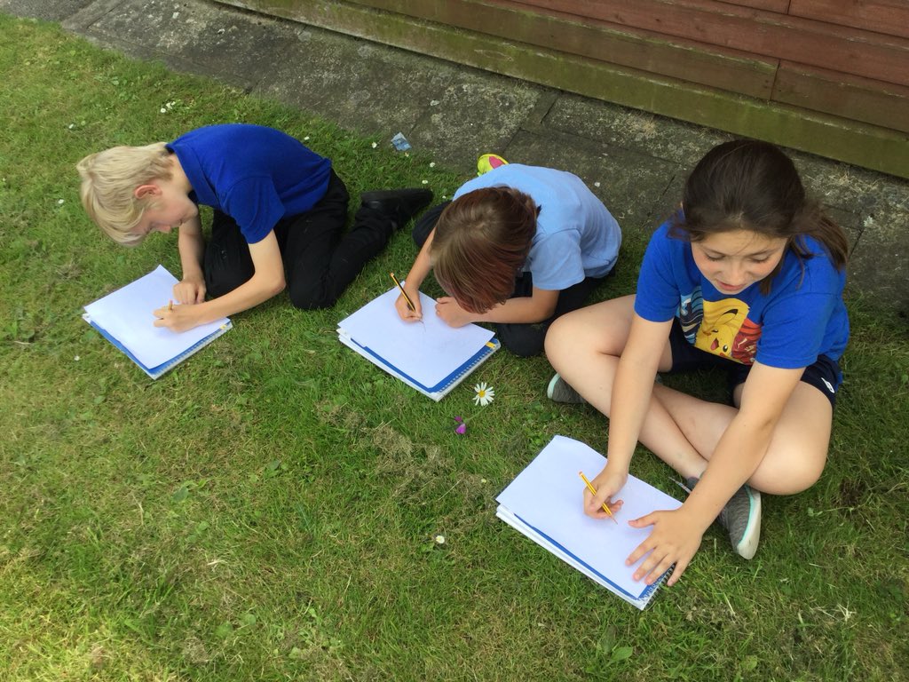 Y5SpruceClass's tweet photo. Botanical sketches of plants found in the wild life garden! #botanical #sketching #art #watercolours https://t.co/45bIUrJGHK