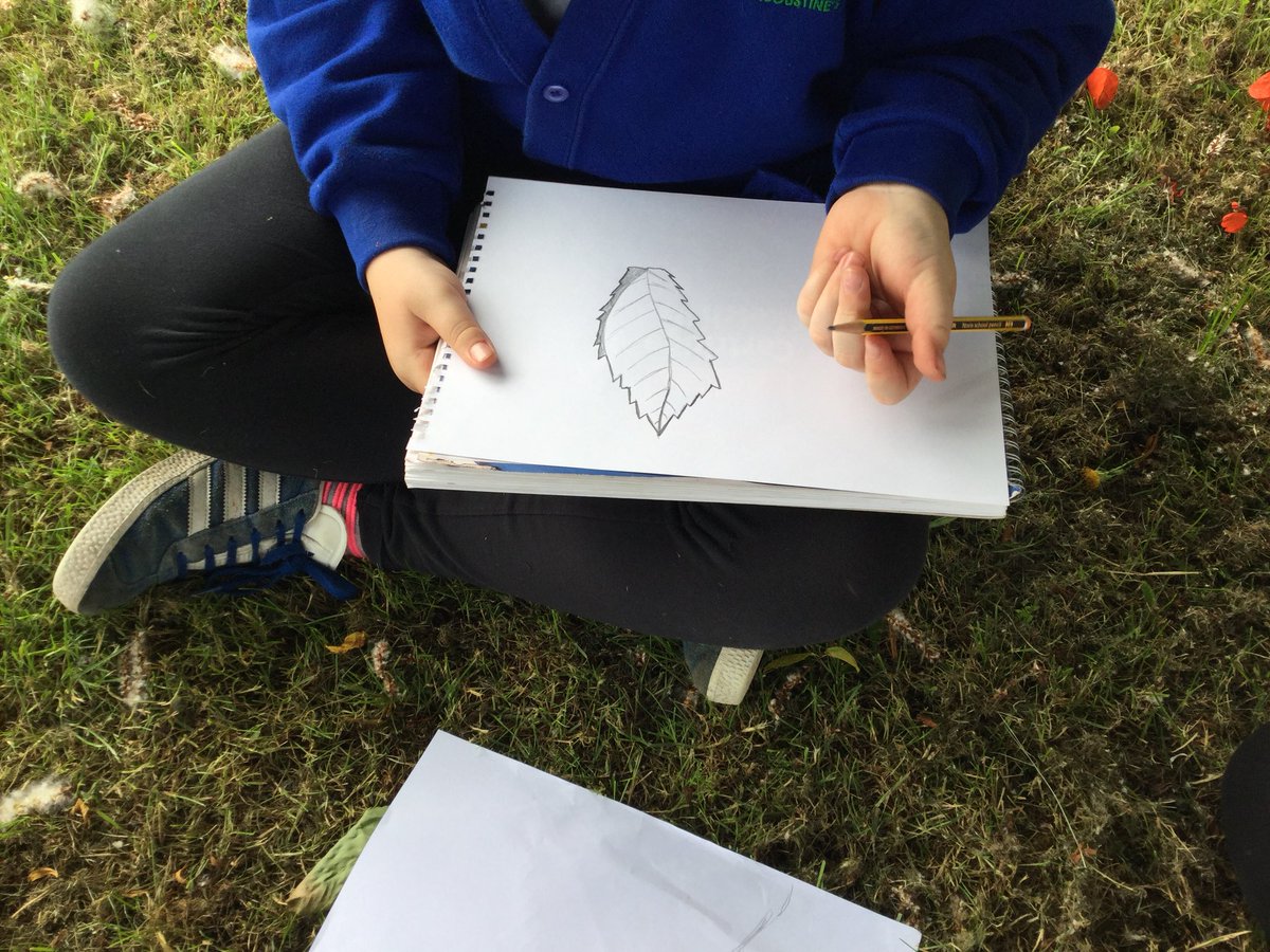 Y5SpruceClass's tweet photo. #botanicalsketches #art #science #plants https://t.co/8KmYYiB7dQ