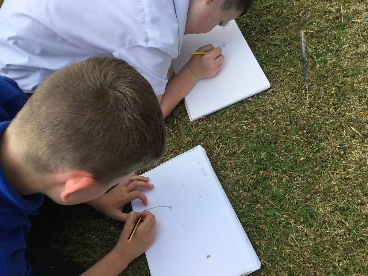 Y5SpruceClass's tweet photo. #botanicalsketches #art #science #plants https://t.co/8KmYYiB7dQ