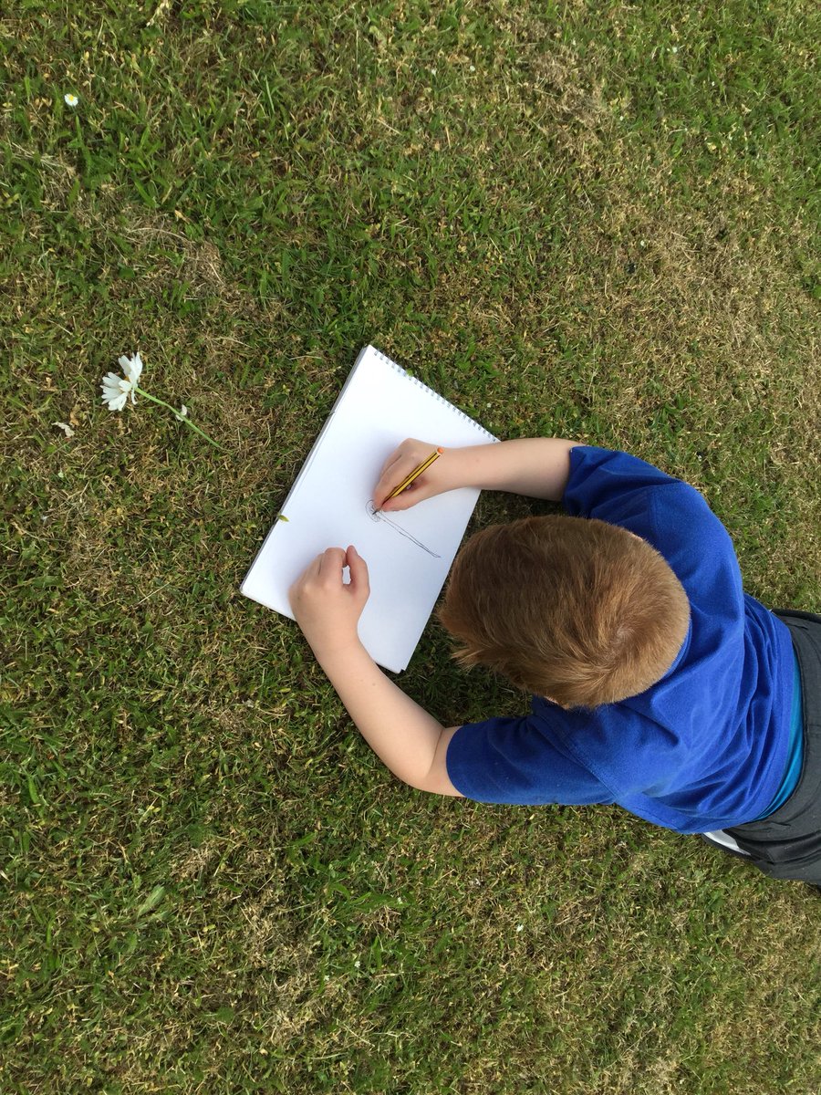 Y5SpruceClass's tweet photo. #botanicalsketches #art #science #plants https://t.co/8KmYYiB7dQ