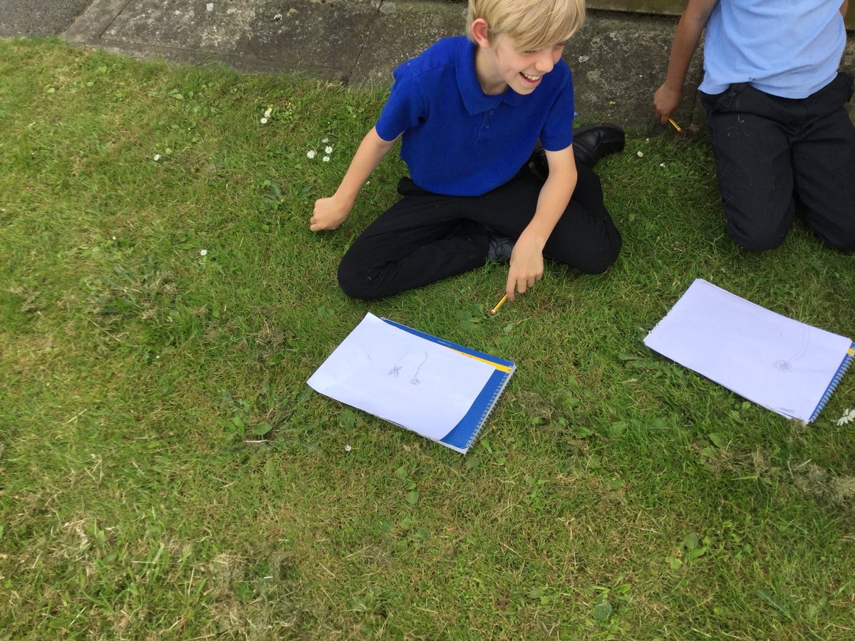 Y5SpruceClass's tweet photo. #botanicalsketches #art #science #plants https://t.co/8KmYYiB7dQ