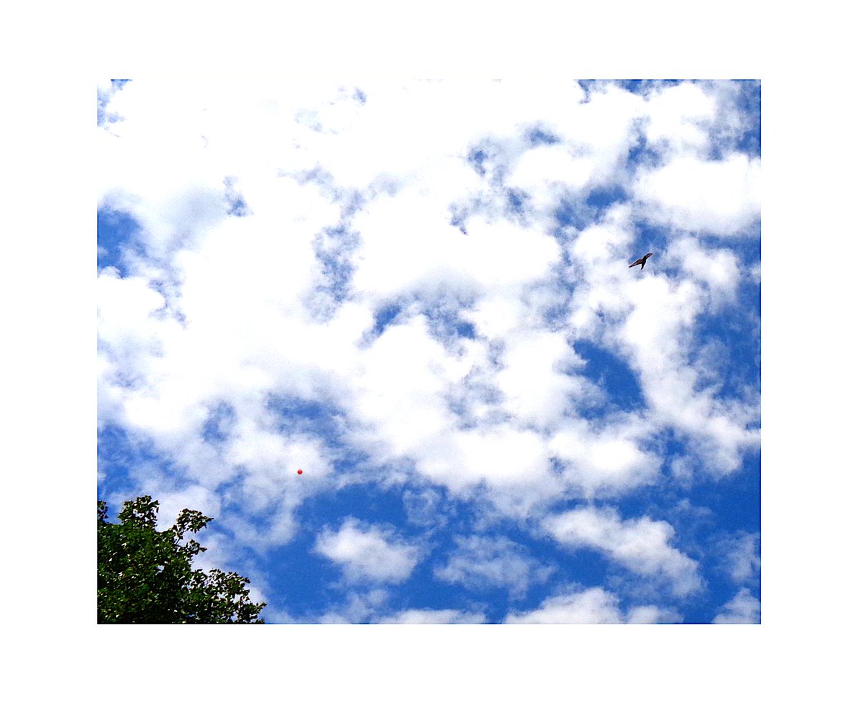 UnbesetztSynth's tweet photo. "You and me both" #BethnalGreen #manœuvre #Flugbahn #Mute #ECRadcliffe #OdeToBoy @reedandcaroline @BecksNudds @drunkenpoet92 @TinSoldiere @VeryRecords :: Halo 🌓! https://t.co/GYw809ZLIJ