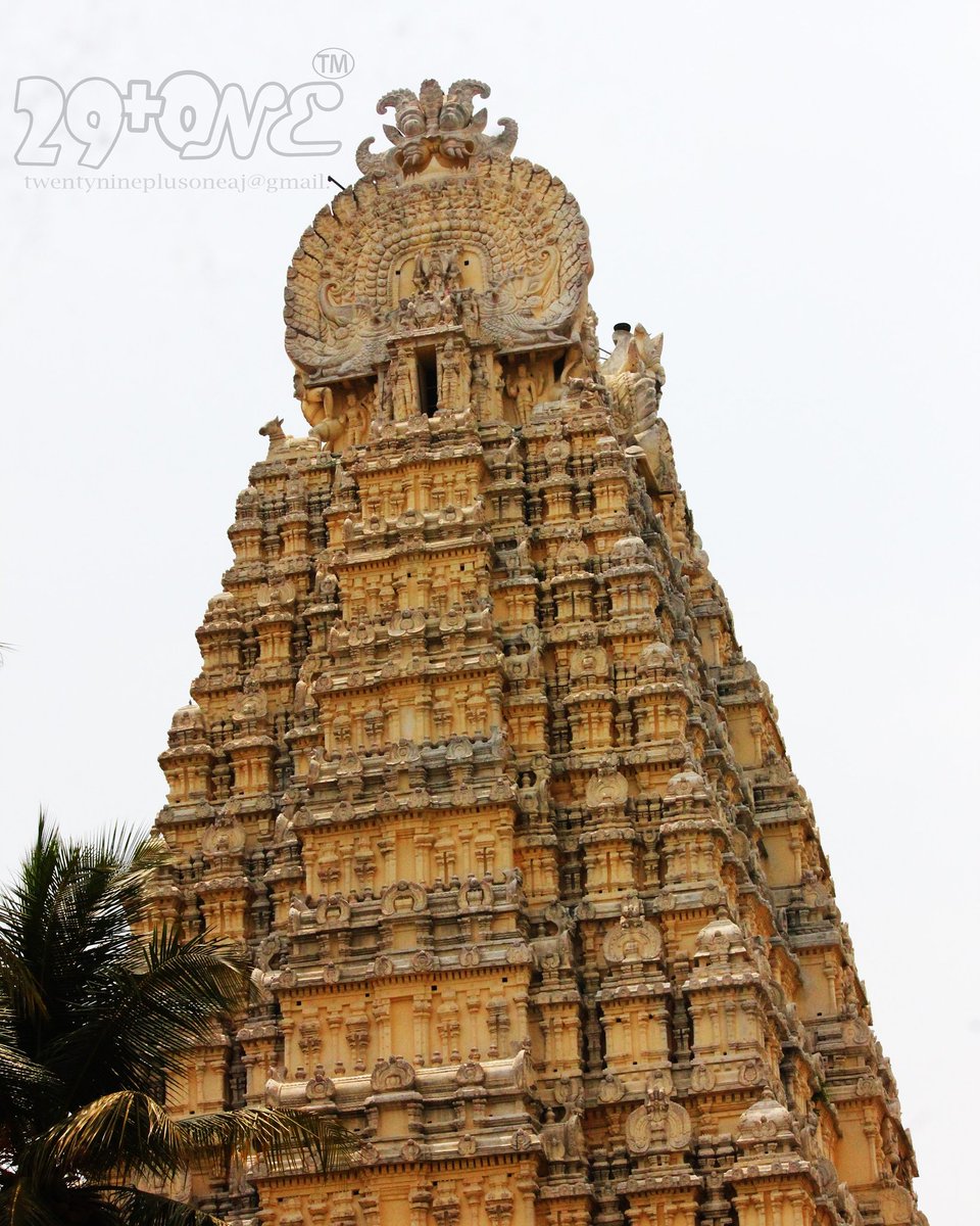 TwentyninePlus's tweet photo. உயரம் என்பது கோபுரமாக இல்லாமல் அறிவாகும் போது அடிப்பணிக்கிறான் அறிவானவன்
#abibabisha #twentynineplusone #jforjai #temple #tower #kanchitemplecity #kanchi #knowledged #person #onetheway #click #special #smile #happiness #enjoinglot #bday
twentynineplusoneaj@gmail.com https://t.co/HUKXJBpCG3