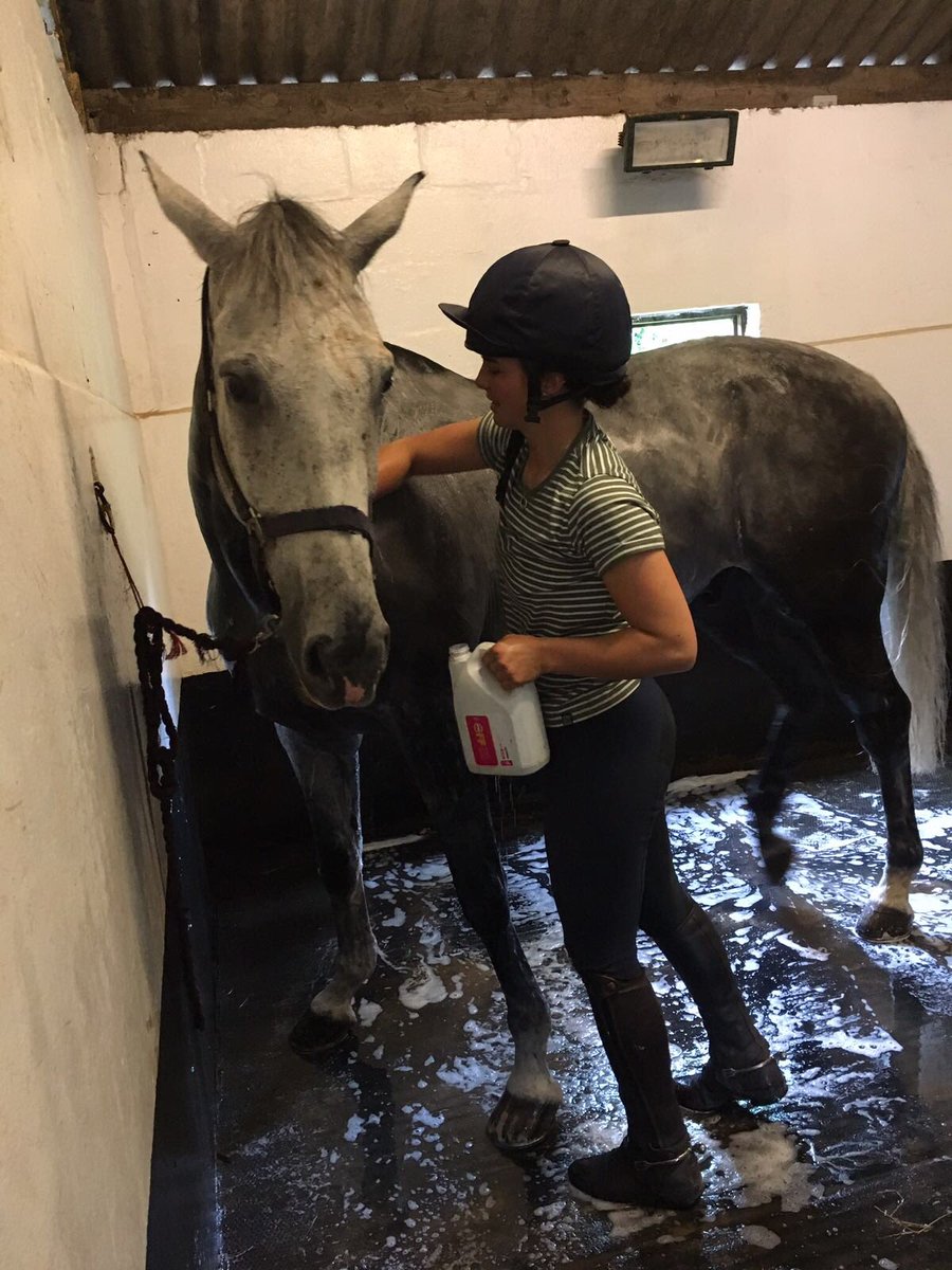 TomMcEwen1's tweet photo. The suns come out &amp; Sophie’ using the @nafuk show shampoo on paddy to get rid of some of those pesky stains!! #refreshingshower #bubbles #NAFspotlight https://t.co/JtH0d0Aeas