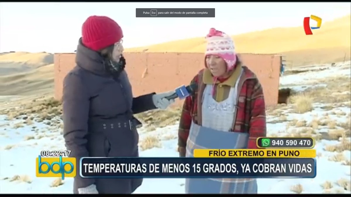 PerroCalatito1's tweet image. mientras el @congresoperu dirigido por delincuentes #fujimoristas y #apristas siguen robando, #galarreta sigue con su mania de comprar rosas y ipads, esto sucede en #Puno y todos dirigidos por la delincuente mayor #KeikoFujimori