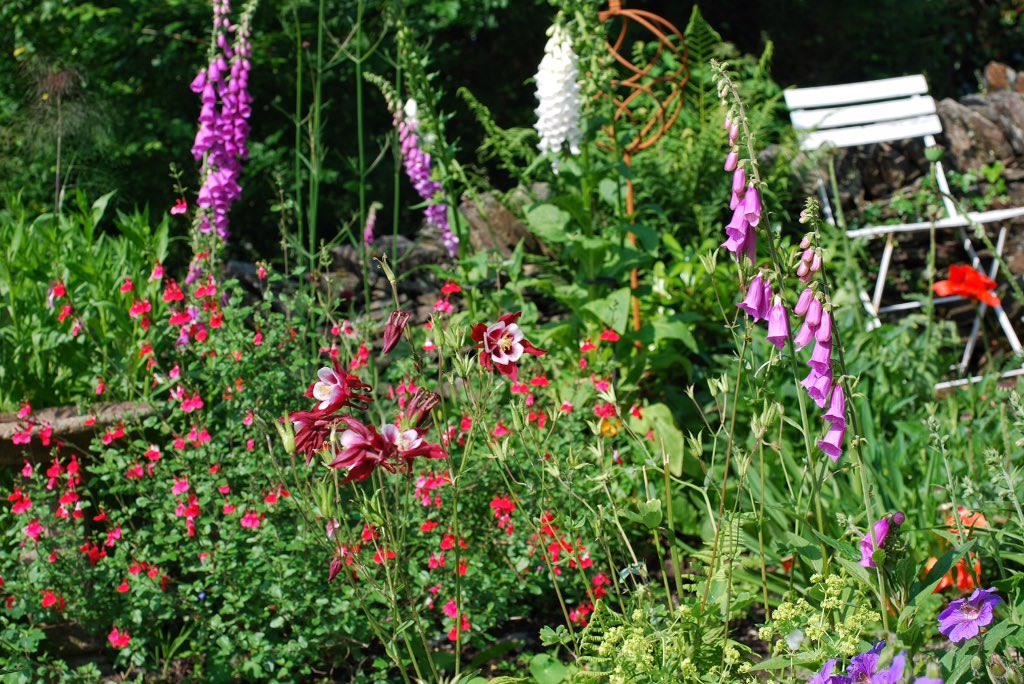 SarahWoods66's tweet photo. Eight years ago I hit rock bottom. It was rescuing this long forgotten garden in Snowdonia that helped me heal. Never underestimate the therapeutic power of gardening #MentalHealthAwareness #Gardening https://t.co/ChiXQYsf9I