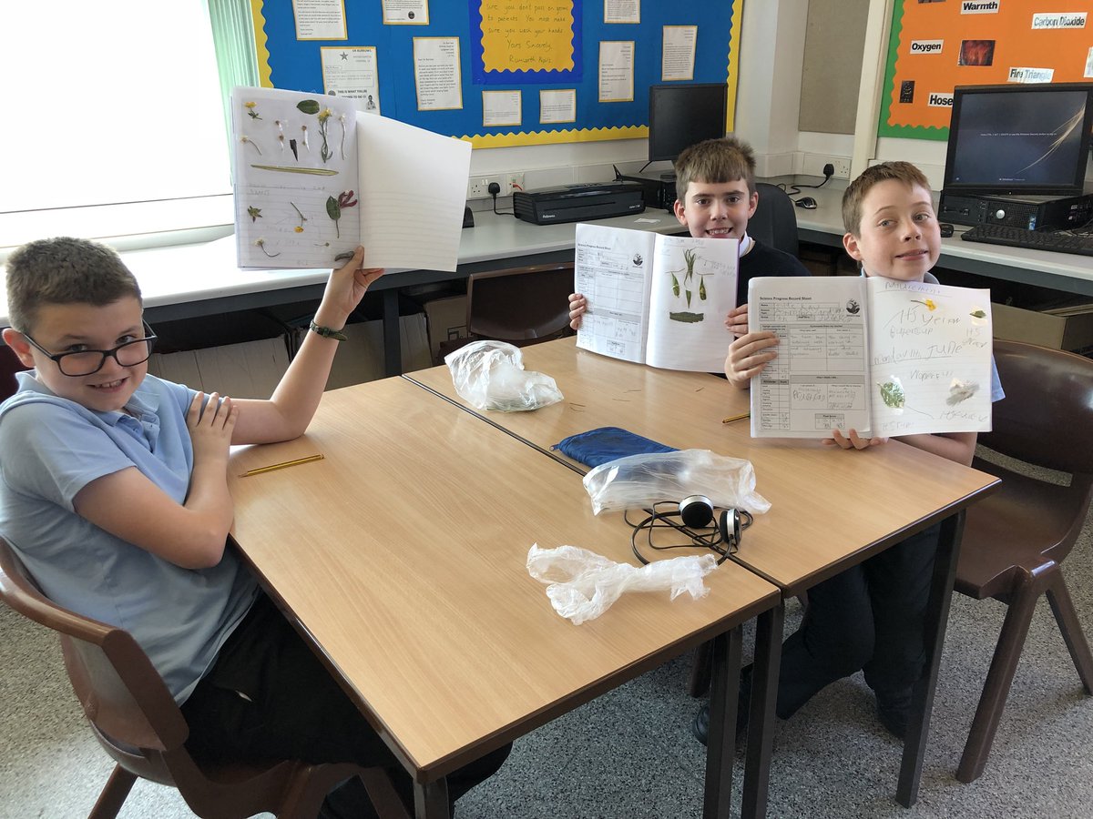 RumworthScience's tweet photo. Well look who’s been on a nature hunt today 🌱 💐 ... we have been describing what we have found and making sure our work is beautiful too! @SDatTurton @SecPartnerships https://t.co/6NMBzPI7cP