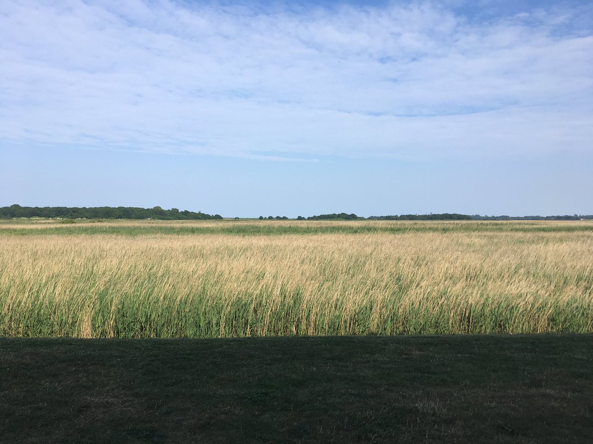 pkkolesnikov's tweet photo. Our #aldfest @snapemaltings concert with @BBCSSO and John Wilson on air tonight @BBCRadio3! #Britten #Diversions #LeftHand https://t.co/UQ1BefoXme
