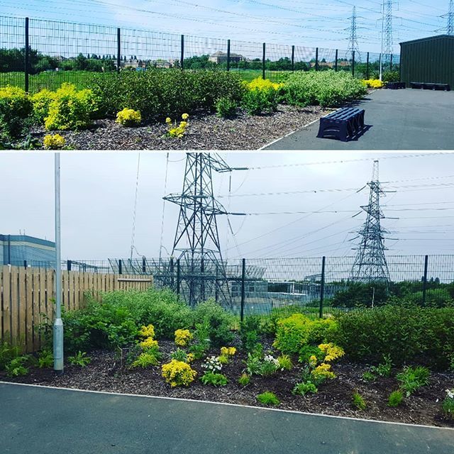 thameslifecdt's tweet photo. BEFORE/AFTER shots to show the difference all these lovely @waywardplants from @the_rhs have made to the playground here at Riverside Campus #YoungCitizensActionGroup #YCAG #ThamesWardCommunityProject #GreenUpThamesWard https://t.co/V3u3boBKsE