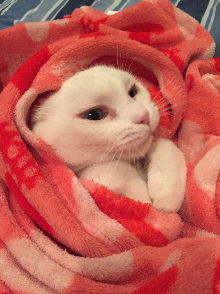 touchmexp's tweet image. 