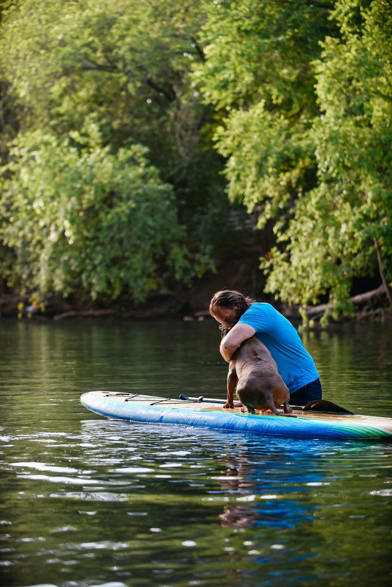 Northern Fir Beard tweet media