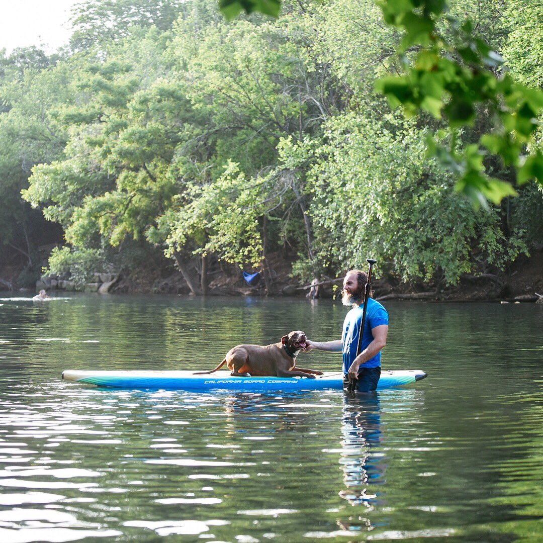 Northern Fir Beard tweet media
