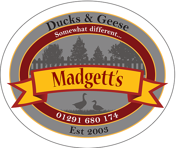 TheMinersSling's tweet image. Proud to be working with local supplier @Madgettsgame #GrowLocal #SupplyLocal #SupportLocalBusiness 

@FODNetwork @coleford_town