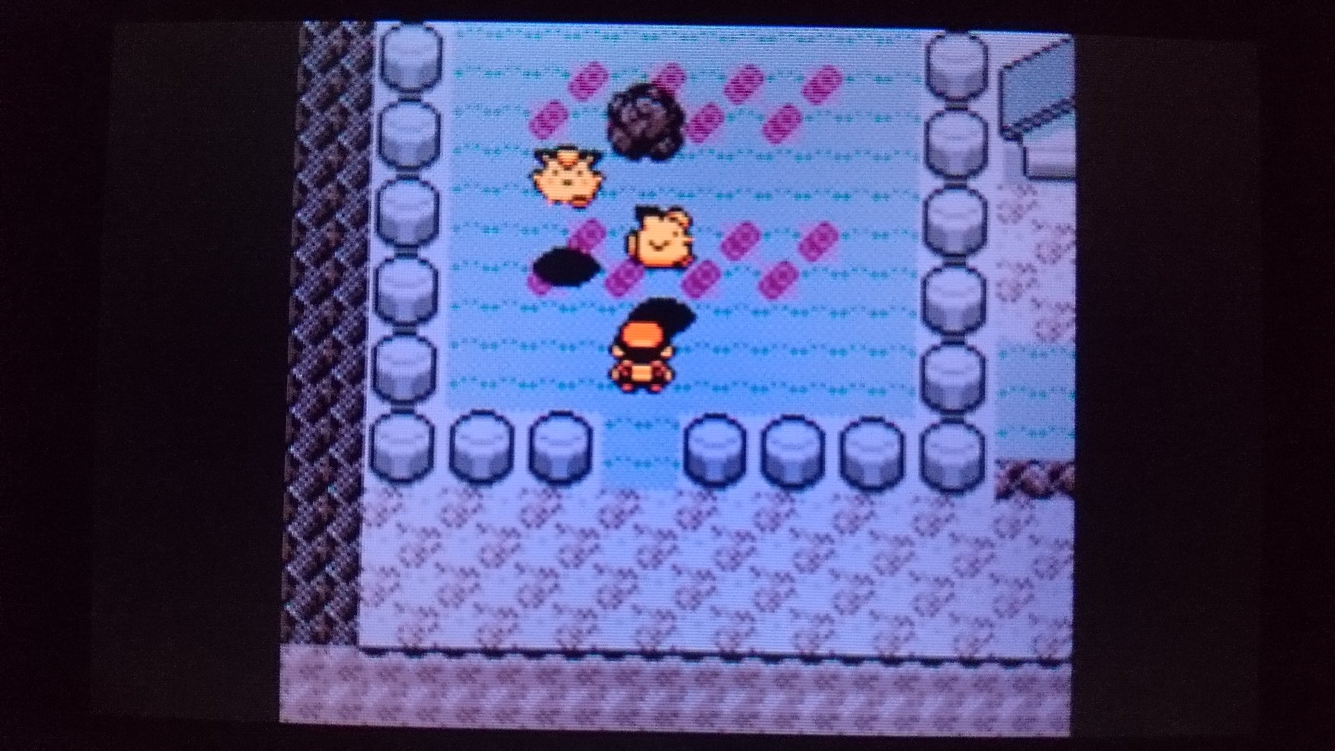 センジ ピッピとつきのいし ポケモン金銀 T Co Uzesoaw7kc Twitter