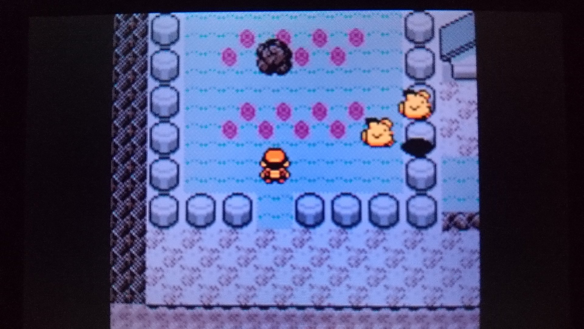 センジ ピッピとつきのいし ポケモン金銀 T Co Uzesoaw7kc Twitter