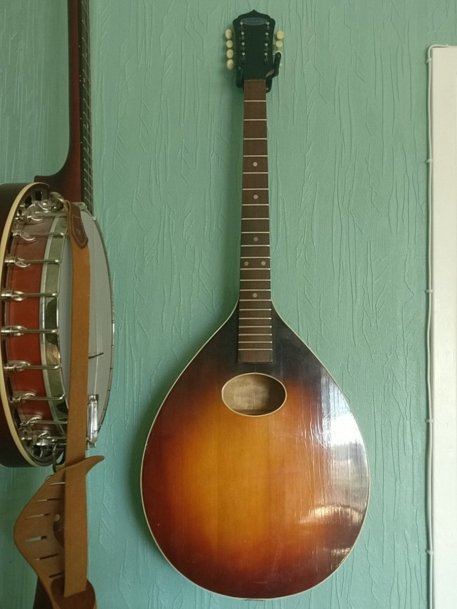 dizzthefrizz's tweet photo. Look at this new babe! It's a bouzouki! 😃 https://t.co/klVVyUvArU