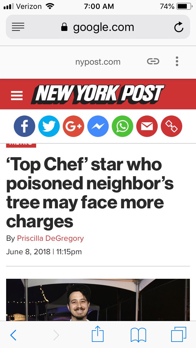 24HourDelay's tweet photo. This asshole chopped down a tree to get sun to his solar panels. https://t.co/OspMKWqTZB