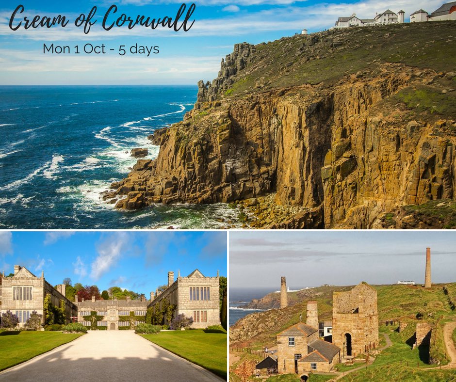 Buzzlines Travel tweet media