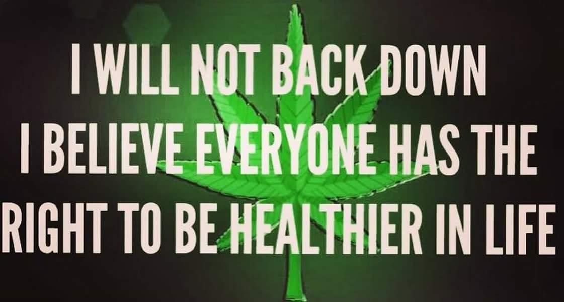 Angel07471851's tweet photo. #AngelofBetter #savinglives #naturaloverall #cannabisfirst https://t.co/FrDZRCP9dT