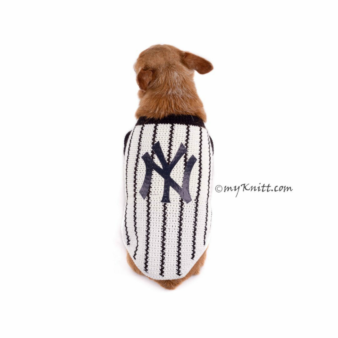 yankees dog clothes