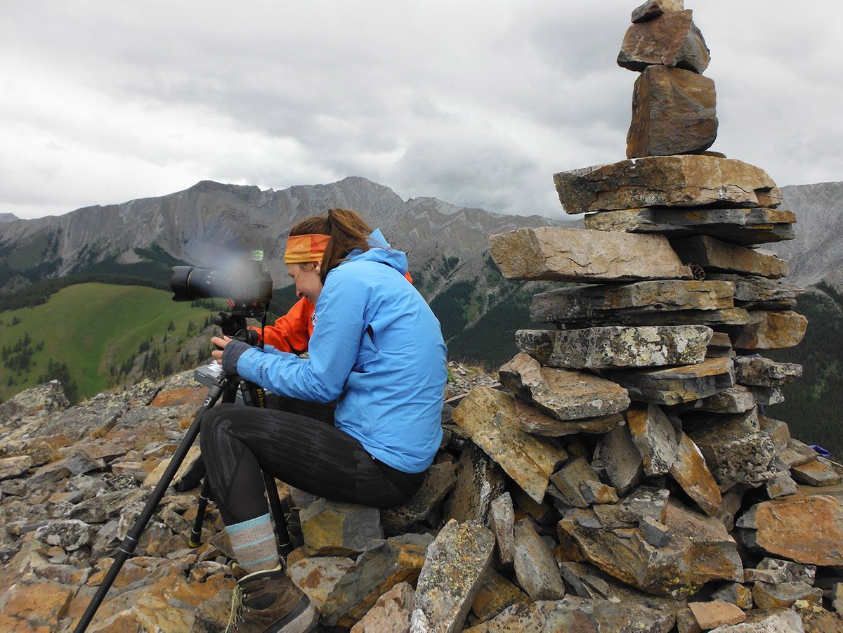 landscapesinmtn's tweet photo. Ever wonder what the deal is with the piles of rocks on #mountain peaks? #landscapesinmotion and Mountain Legacy Project researcher Julie Fortin explains how they got there - and how they help her team! https://t.co/cTaKR0bZR6 https://t.co/OyBTdzqWlv