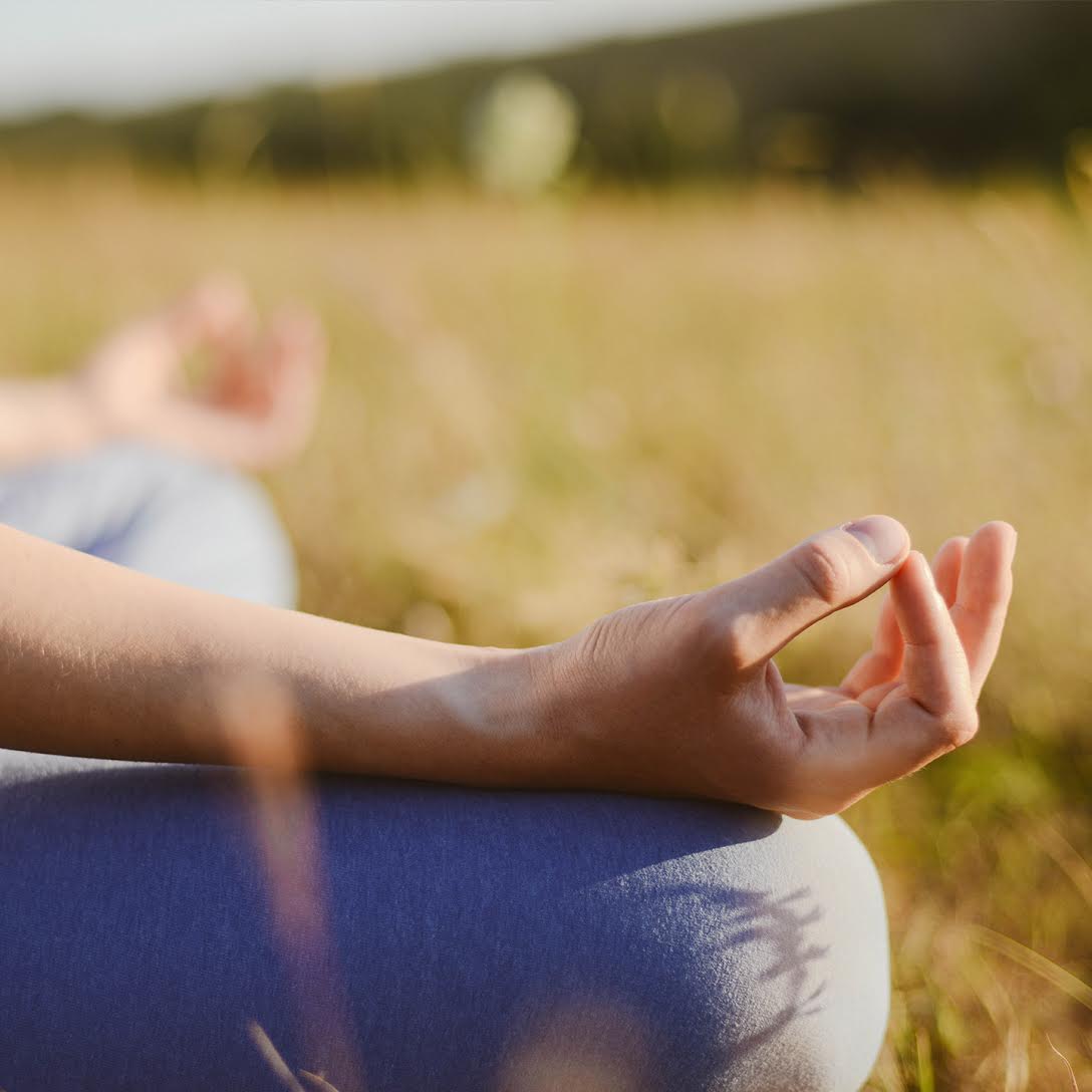 ErvanariaV's tweet photo. Meditation is essential to feel well and live a Happy Life. Meditation can help us to eliminate negative thoughts, worries, anxiety, all factors that can prevent us feeling happy. #meditation https://t.co/mzgdGGpdDV