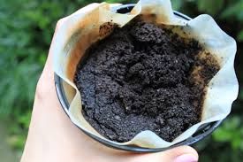 greenninjaldn's tweet photo. To use coffee grounds as fertilizer, work used, rinsed coffee grounds into the soil around your plants.  #gardeningtips #ldnont https://t.co/9RvkT7rYeR