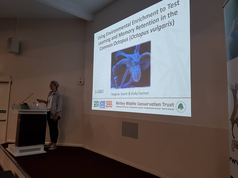 WildPlanetTrust's tweet photo. Keepers, researchers and students have been busy communicating their efforts on environmental enrichment at all 3 zoos sites at the Regional Environmental Enrichment Conference #REEC2018 at Chester Zoo @Paigntonzoonews @Coastalzoonews @Whitleynews https://t.co/rtW0v4ulzl