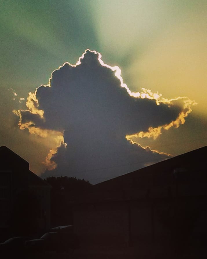 sstransportnd's tweet image. Some great pictures shared by Lee #truckerviews #trucking #truckinglife #truckingviews #trucklife #truckerlife