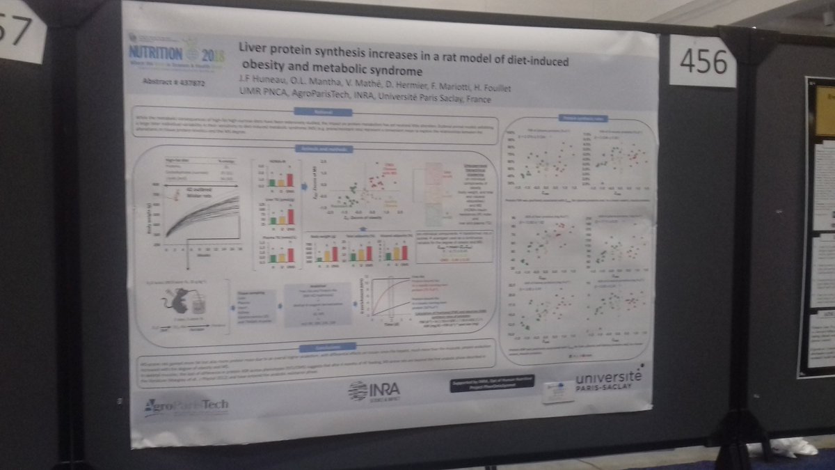 JF_Huneau's tweet photo. C'est parti
#Nutrition2018 https://t.co/xXqLo5iT9e