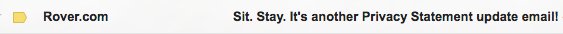 baemail_'s tweet photo. a little subject line cuteness from @roverdotcom. i wish my dog knew how to stay https://t.co/7TWQFheAwC
