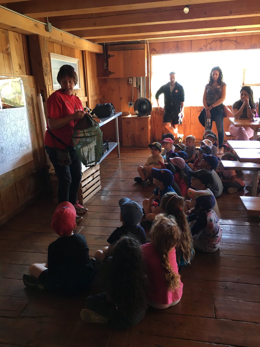 StBrigidHCDSB's tweet photo. Honey is made from pollen, nectar and βbee spitββ¦@StBrigidHCDSBβ© #SpringridgeFarm https://t.co/4cApyLhudo